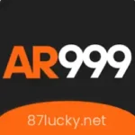 AR999 Game