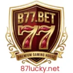 B77 Game APK (1)
