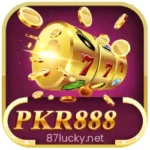 PKR 888 Game APK