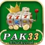 Pak 33 Game APK