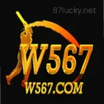 W567 Game