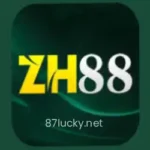ZH 88 Game