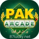 PAK Arcade Game APK