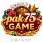 PAK75 Game APK
