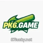 PK6 Game