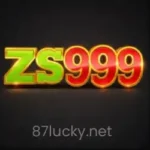 ZS999 Game APK